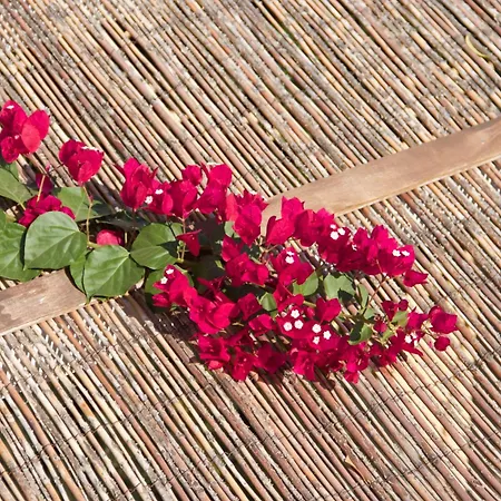 Ξενοδοχείο με διαμερίσματα Nomads House Λογαράς