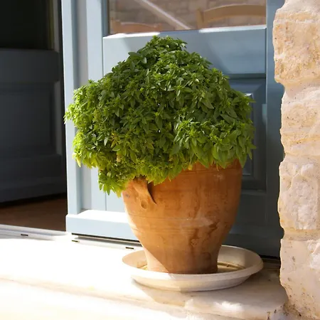 Ξενοδοχείο με διαμερίσματα Nomads House Λογαράς