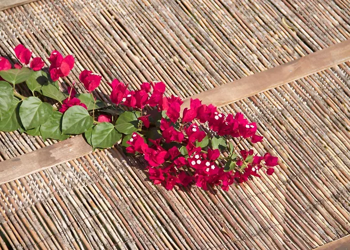 Aparthotel Nomads House Logaras