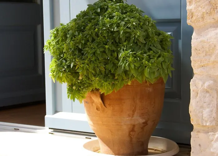 Aparthotel Nomads House Logaras