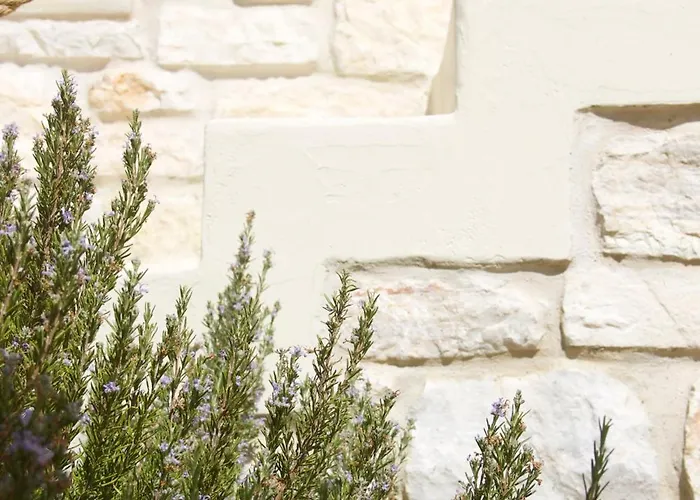 Aparthotel Nomads House